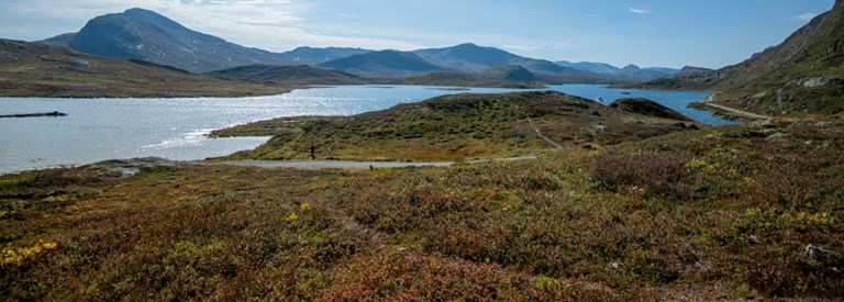 2023.09.08 Bygdin Valdresklinikken DSC 5994