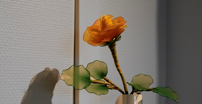 2023.09.08 Glassrose Valdresklinikken DSC 6100 (1)